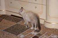 DSC_1094.JPG