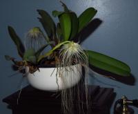 IMG_7240.JPG