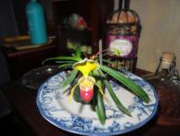 IMG_7167.JPG