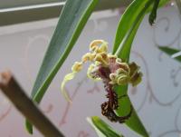 IMG_6663.JPG
