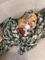 IMG-20181019-WA0001.jpg