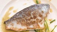zander-verbeneoel_frankbuchholz_fotolia_30865040.jpg