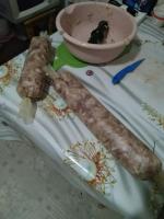 IMG_20201230_204842.jpg
