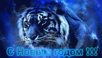 2022.gif