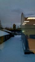 дерево из окна-17-12-21.jpeg