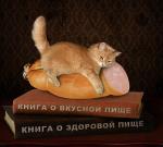 Фотография пользователя Тончик