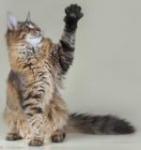 Фотография пользователя tohagtn