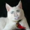 Midal FingaФотография пользователя %s