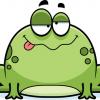ToadФотография пользователя %s
