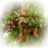 katelarix11Фотография пользователя %s